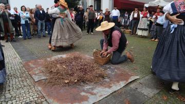 Rusga de S. Vicente levou ao terreiro tradições de São Martinho
