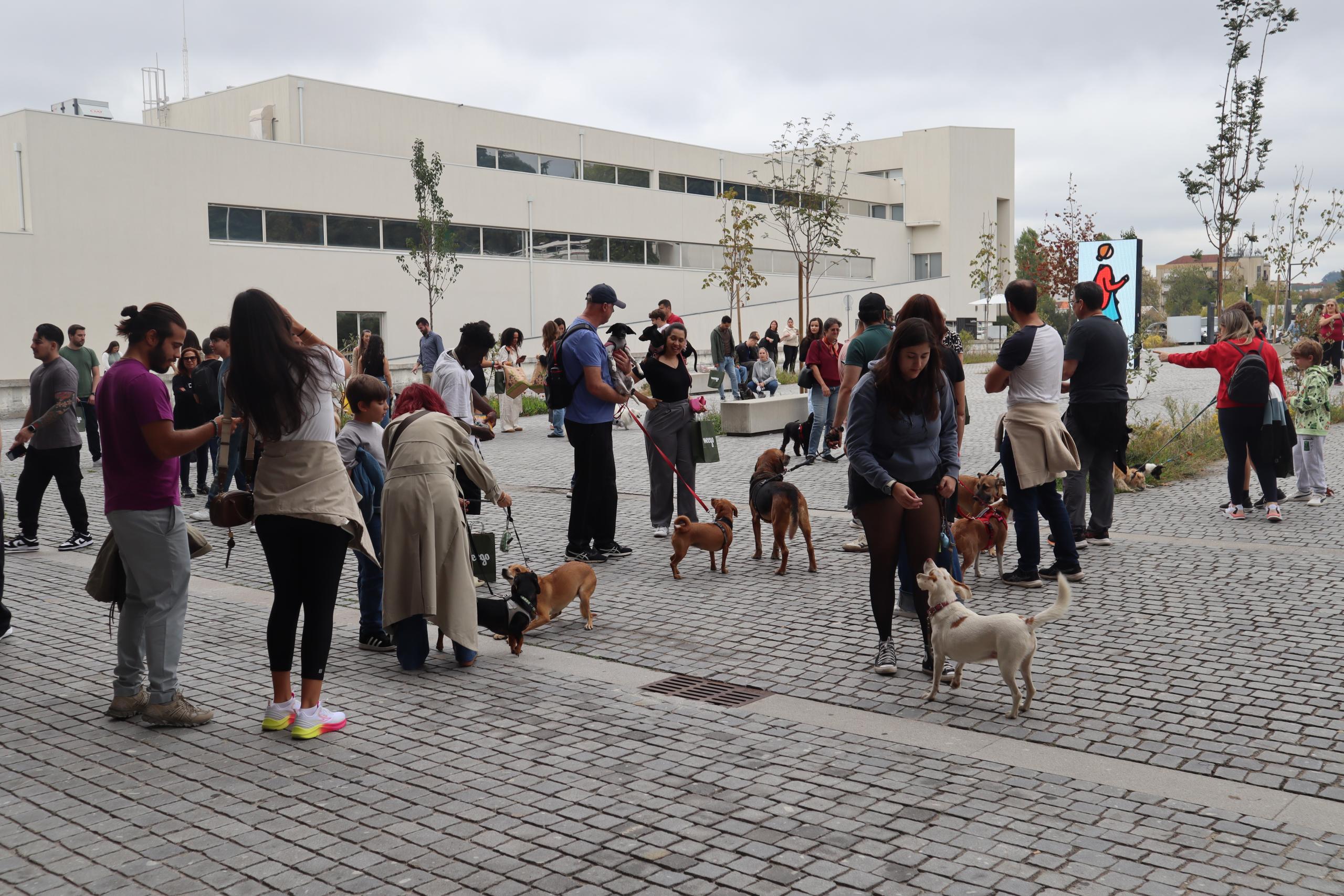 Cãominhada e exibições de segurança deram mais dinâmica à Expo Animal