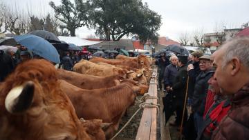 Feira dos Vinte mostra vitalidade apesar da chuva condicionar os negócios
