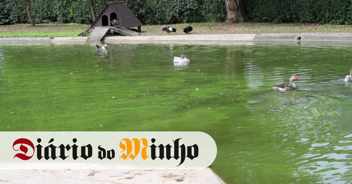 Climate Week 2026 - Braga