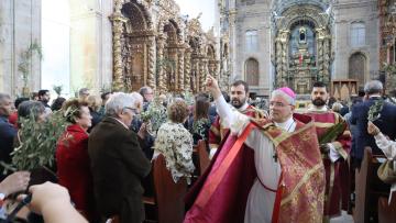 Arcebispo de Braga pede orações pela paz no Médio Oriente