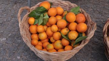 Amares acolhe certame dedicado aos sabores da terra