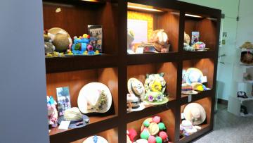 Vila Verde acolhe exposição virada para a saúde e o ambiente