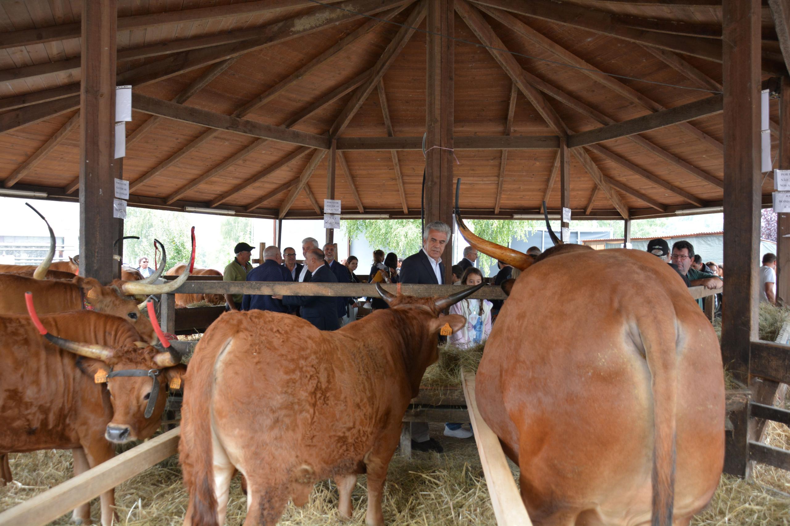 Cabeceiras de Basto mostra atividades económicas na feira