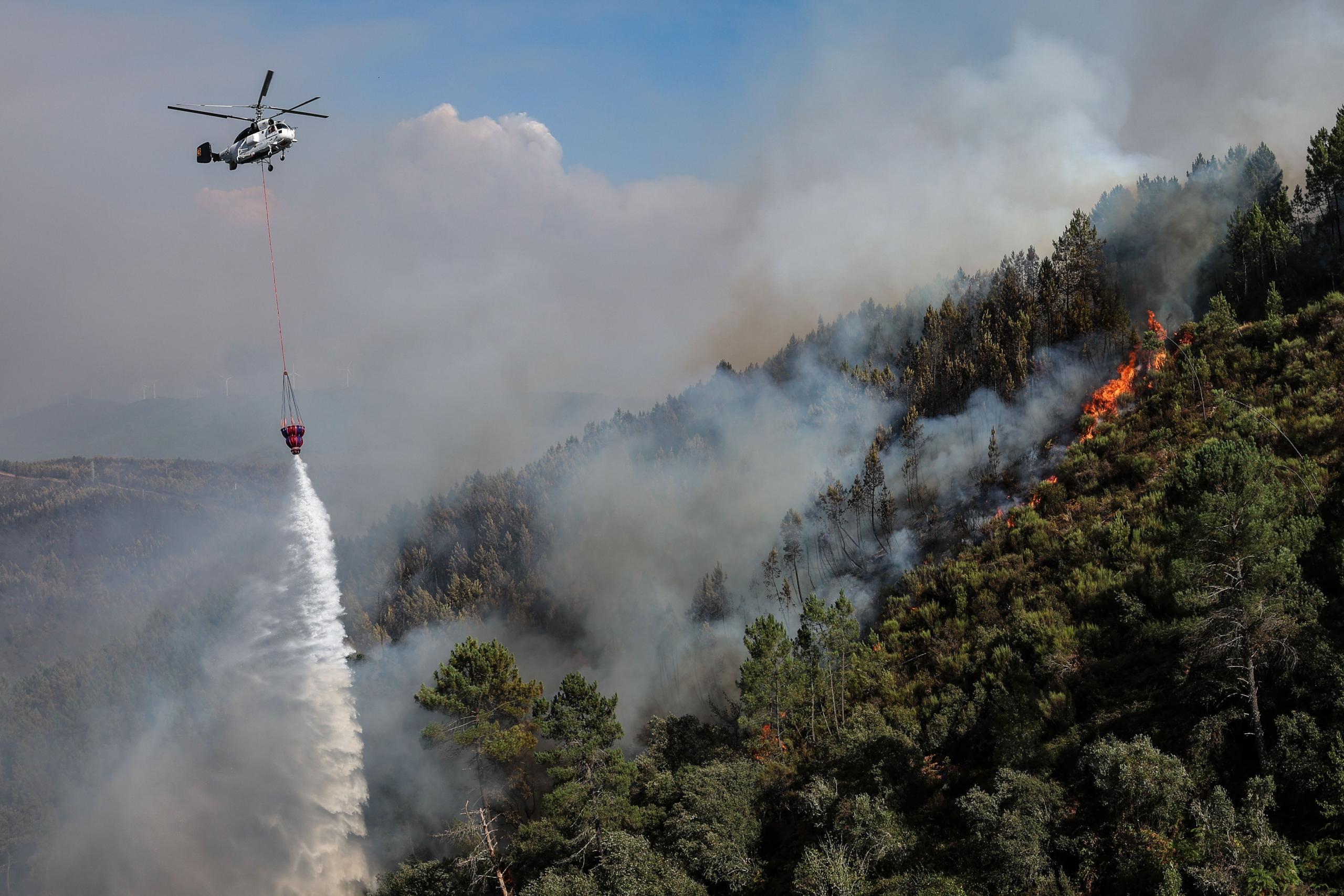 Quase um terço dos fogos investigados este ano tiveram como origem fogo posto
