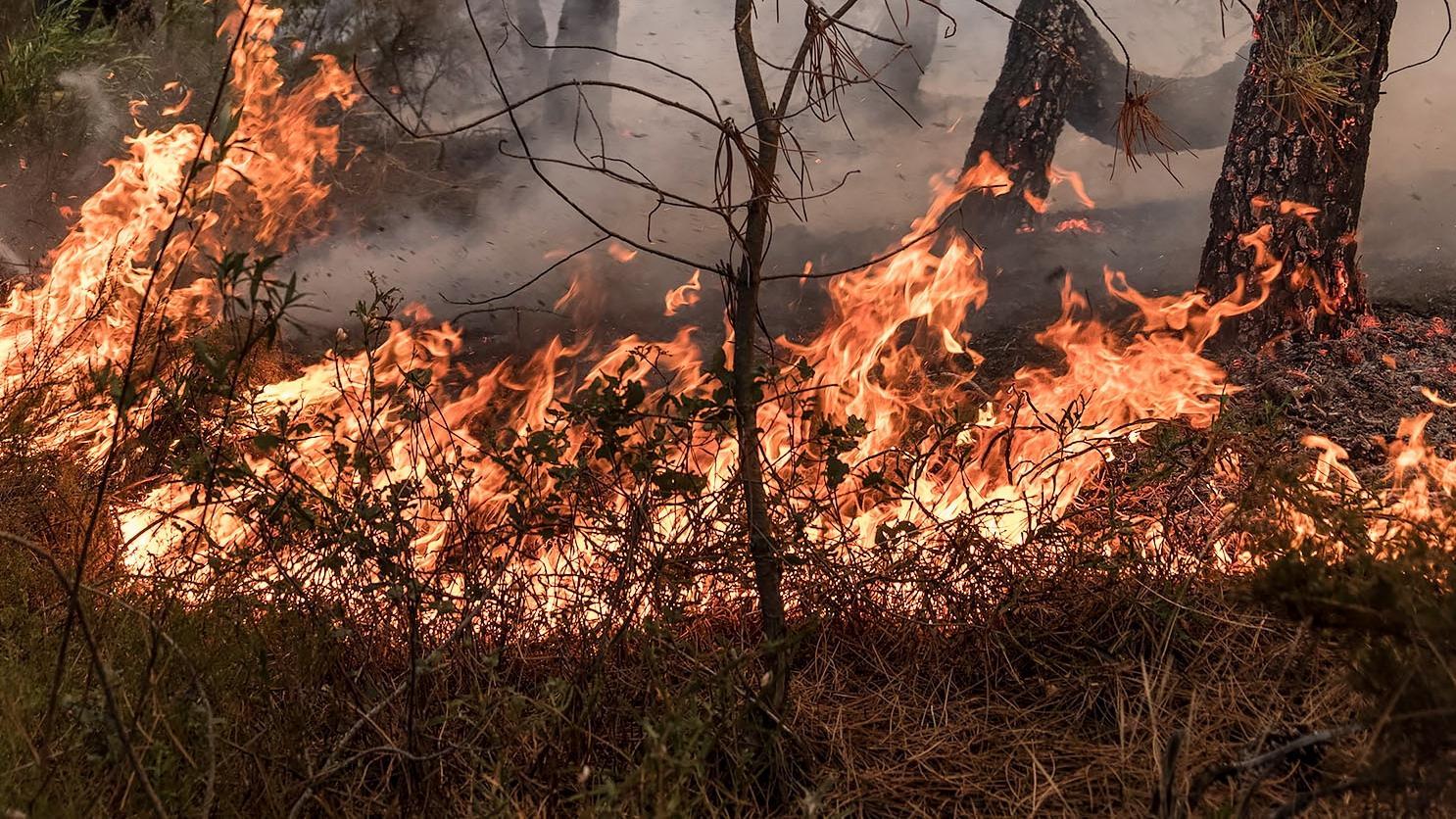 Braga e Viana do Castelo em risco máximo de incêndio este domingo