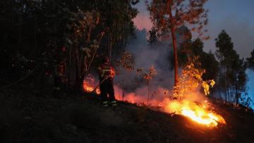 Primeira quinzena de agosto com elevado risco de incêndios no Minho