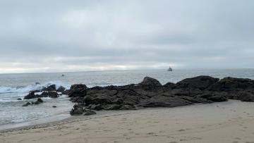 Iniciadas buscas por pescador desaparecido em Viana do Castelo