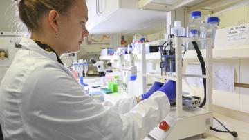 Projeto inovador em medicina de precisão melhora tratamento do cancro no Norte