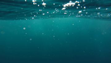 Portugal falha metas europeias de proteção de área marinhas