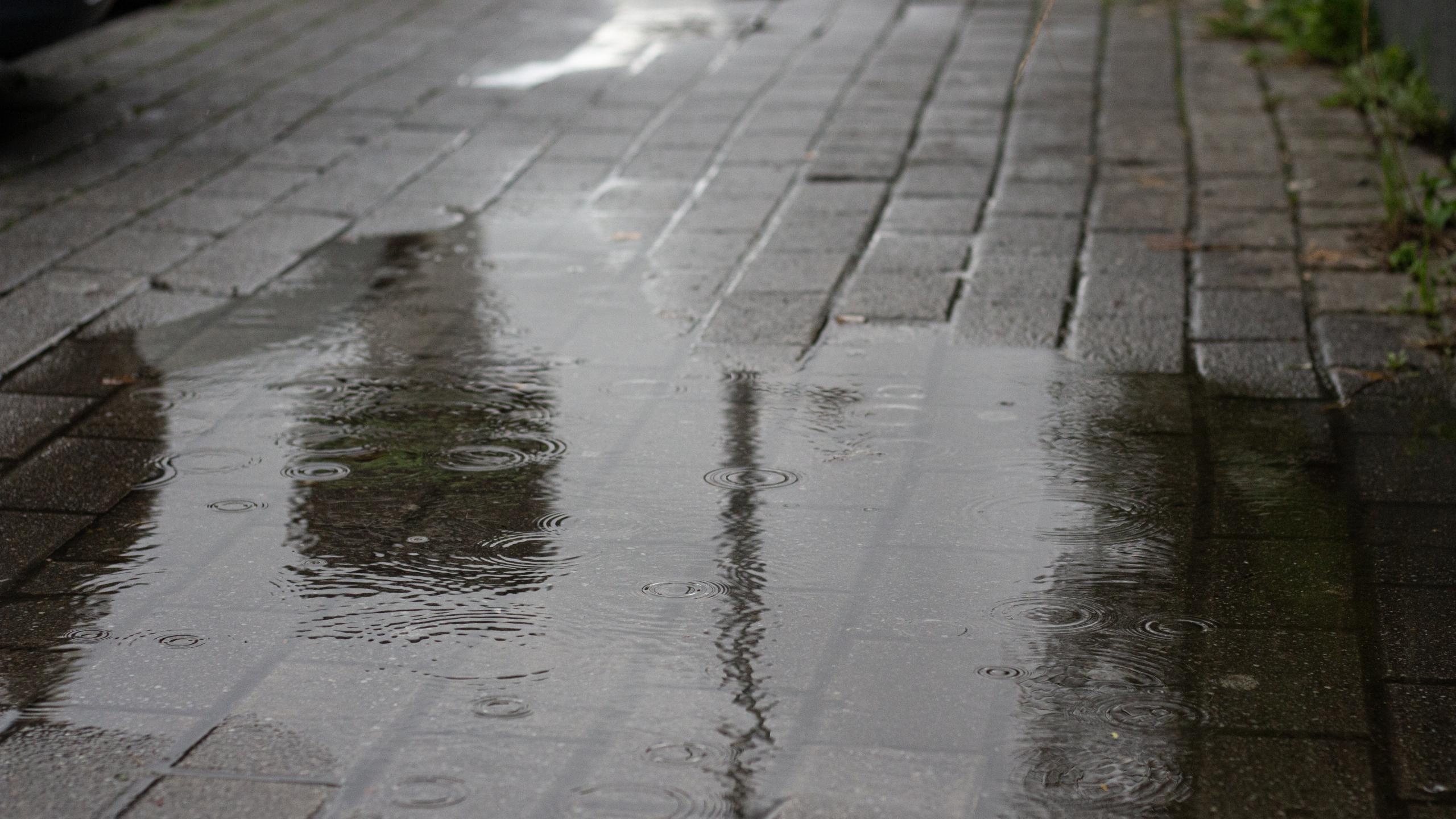 Domingo de Eleições Europeias marcado por chuva fraca