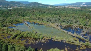 Ponte de Lima recebe Festival Natureza no âmbito dos 25 anos da Área Protegida das Lagoas