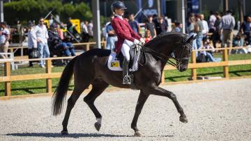 Esposende recebe o 4.º Equestrian Festival