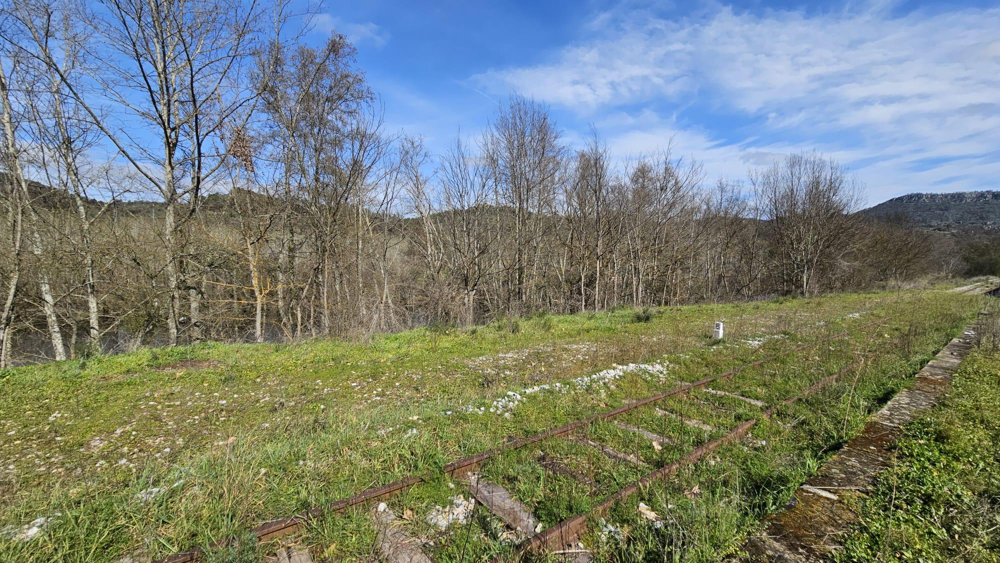 CP disponível para solução para a Linha do Tua