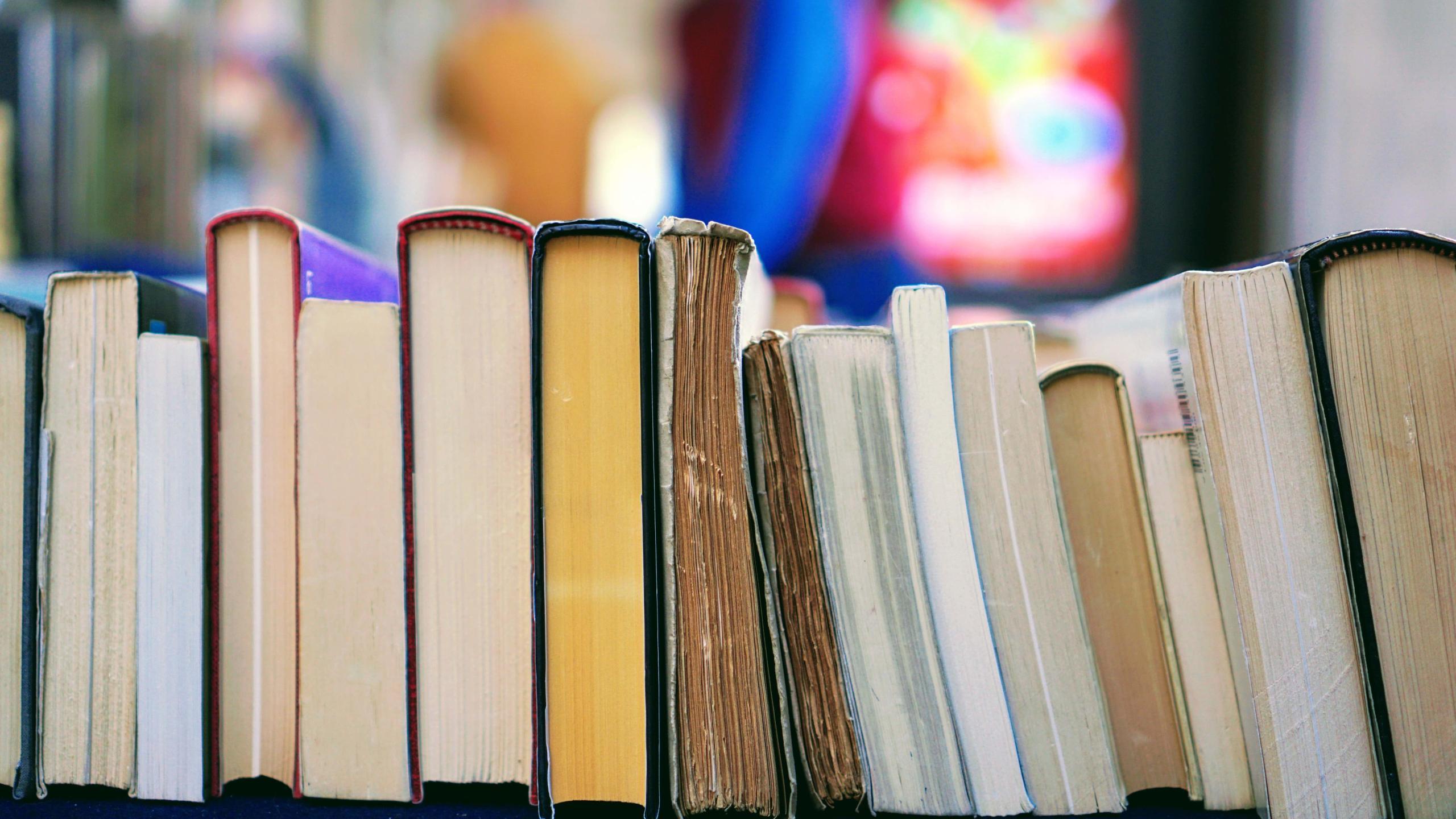 Feira do Livro de Ponte da Barca começa no próximo sábado