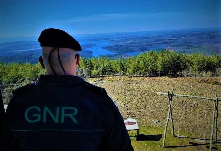 Incêndios: GNR atenta a quase 14 mil locais em risco de incumprimento de limpeza de terrenos