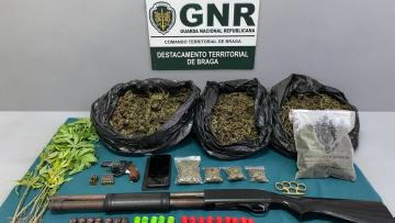 Homem detido por cultivo e tráfico com 793 doses de droga em Braga