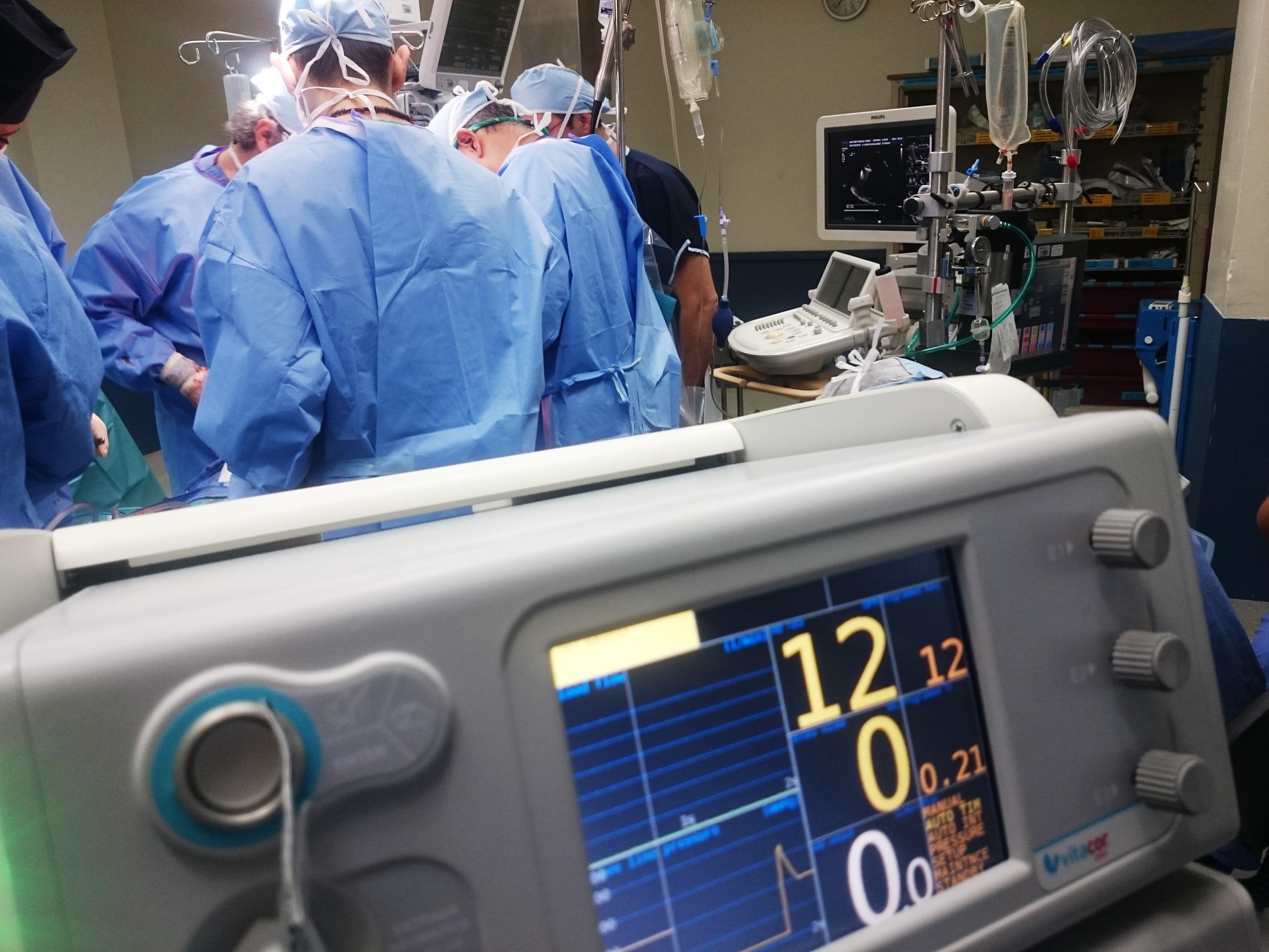 Investigação pode ajudar a resolver escassez de órgãos para transplante