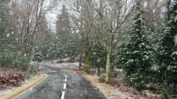 Braga e Viana entre os dez distritos do continente sob aviso amarelo devido à queda de neve