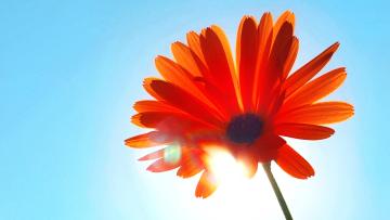 Tempo: O bom tempo continua nesta sexta-feira