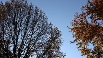 Tempo. Semana arranca com sol