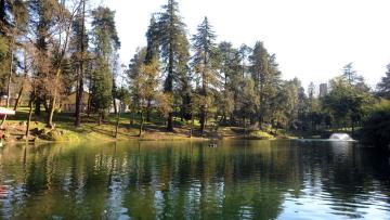 Junta de S. Lázaro e S. João do Souto assinala Dia da Mulher com aula de dança gratuita