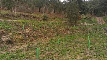 Arcos de Valdevez com 1,3 ME Operações Integradas de Gestão da Paisagem