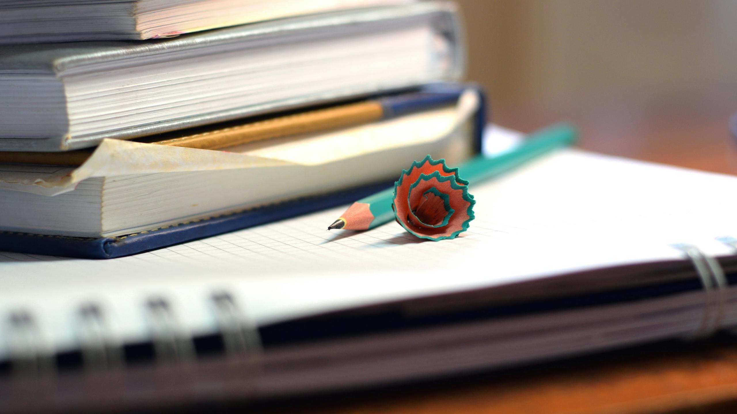 Governo timorense destaca a importância da parceria com Portugal na melhoria da qualidade do ensino