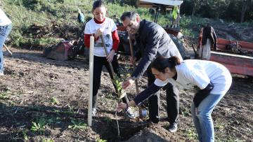 Confraria do Bom Jesus dá fôlego à reflorestação do pulmão de Braga