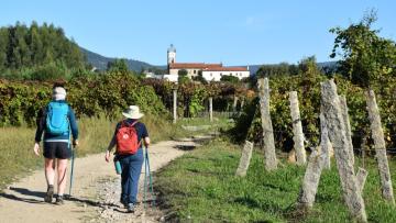 Ponte de Lima vai florir percurso do Caminho de Santiago