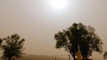 DGS aconselha população vulnerável a ficar em casa devido a poeiras no ar