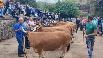 Portela de Alvite acolhe Feira Tradicional dedicada ao mundo rural