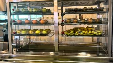 Póvoa de Lanhoso introduz refeições vegetais nas escolas