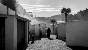 Presépio de Priscos 2026 ultrapassa fronteiras e «fala ao coração e à consciência»