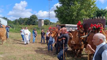 Feira Franca e atividades religiosas deram vida a Tadim e animaram economia local