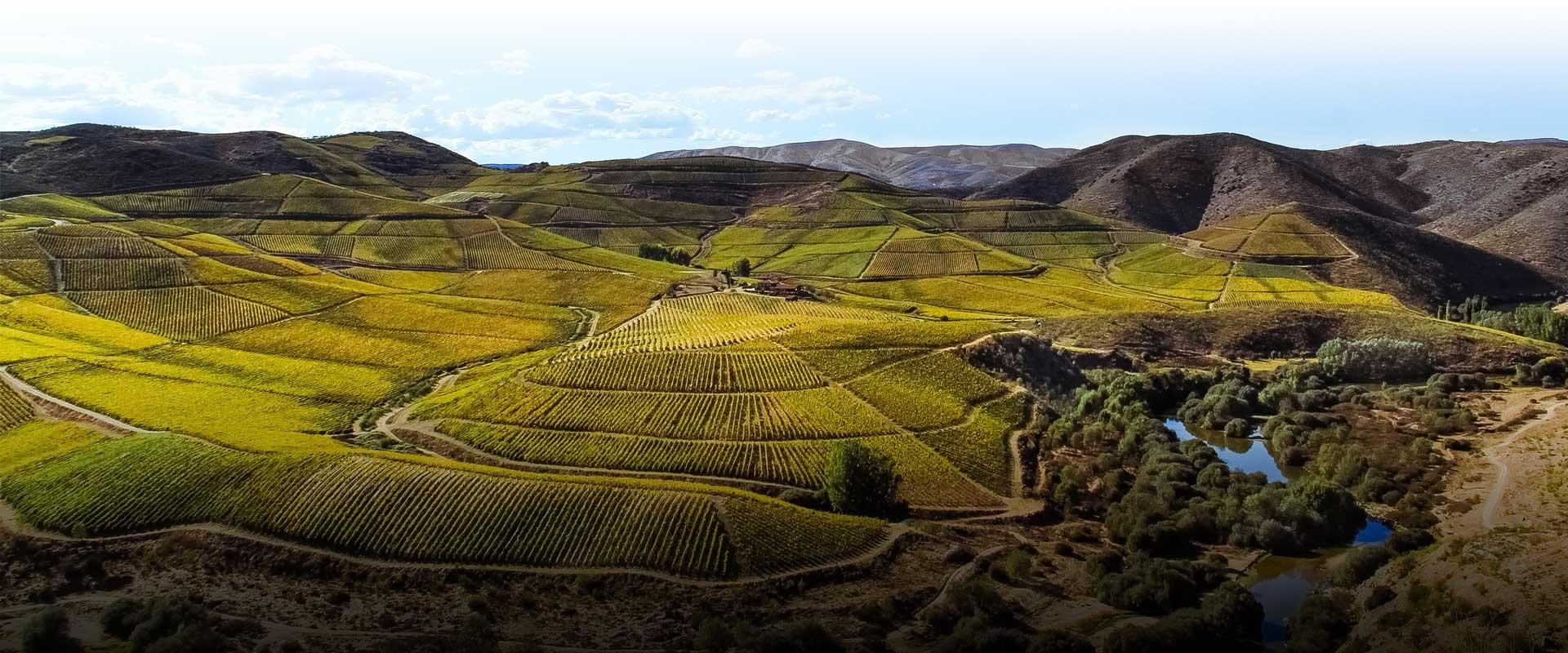 Rota dos Vinhos Verdes desafia a descobrir cidades e montanhas minhotas