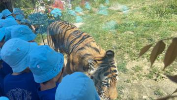 Santa Casa de Vila Verde leva mais de 200 crianças ao Zoo Santo Inácio