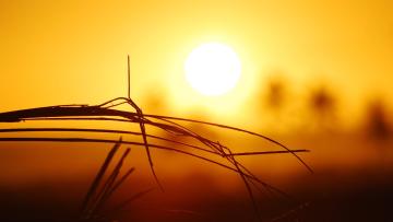 Portugal com risco elevado de exposição à radiação UV e temperaturas de 30 graus