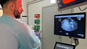 ULS Braga estreia técnica pioneira em Portugal na remoção de tumor do pâncreas