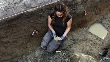 Trabalhos arqueológicos em Esposende revelam ocupação humana com cerca de 300 mil anos