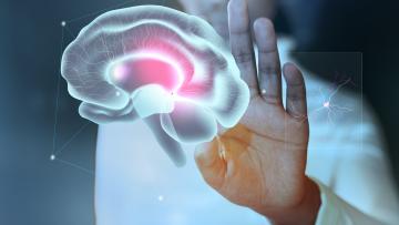 Ferramenta permite que medicamentos para Alzheimer cheguem mais rápido ao cérebro