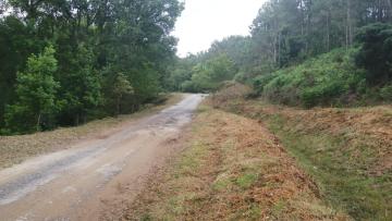 Município de Vila Nova de Cerveira tem em curso limpeza florestal em 46 hectares