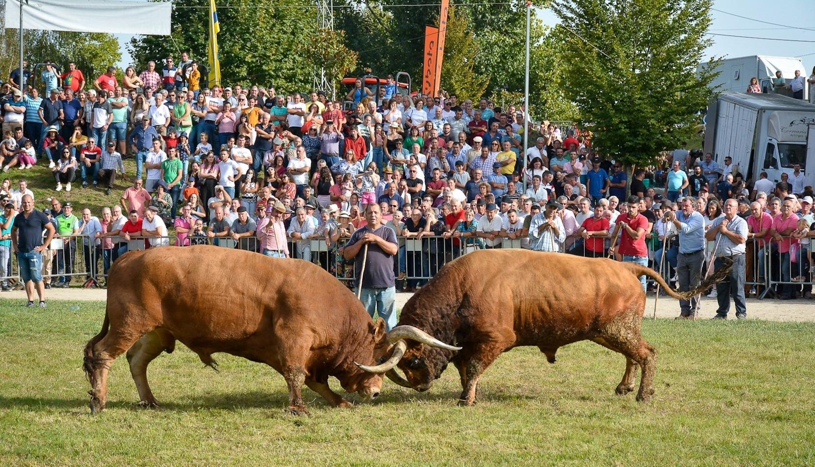 Feira da Ladra de Vieira do Minho anuncia atrações da grande festa