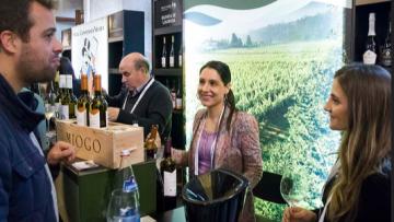 Mais de 4000 vinhos em prova mostram Portugal ao mundo