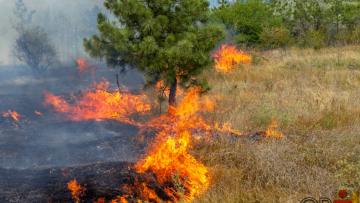Homem detido por atear incêndio florestal em Vila Verde