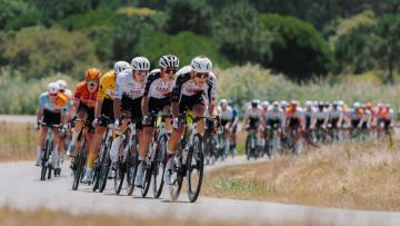 Ciclistas que atirem resíduos para a Mata da Albergaria serão excluídos