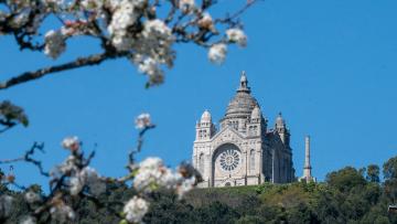 Viana regista maior execução financeira de sempre em 2025